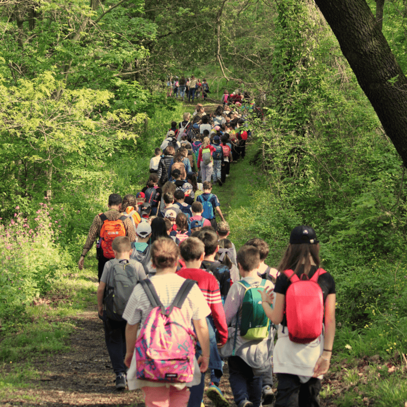 Via crucis scuola primaria Il pellicano