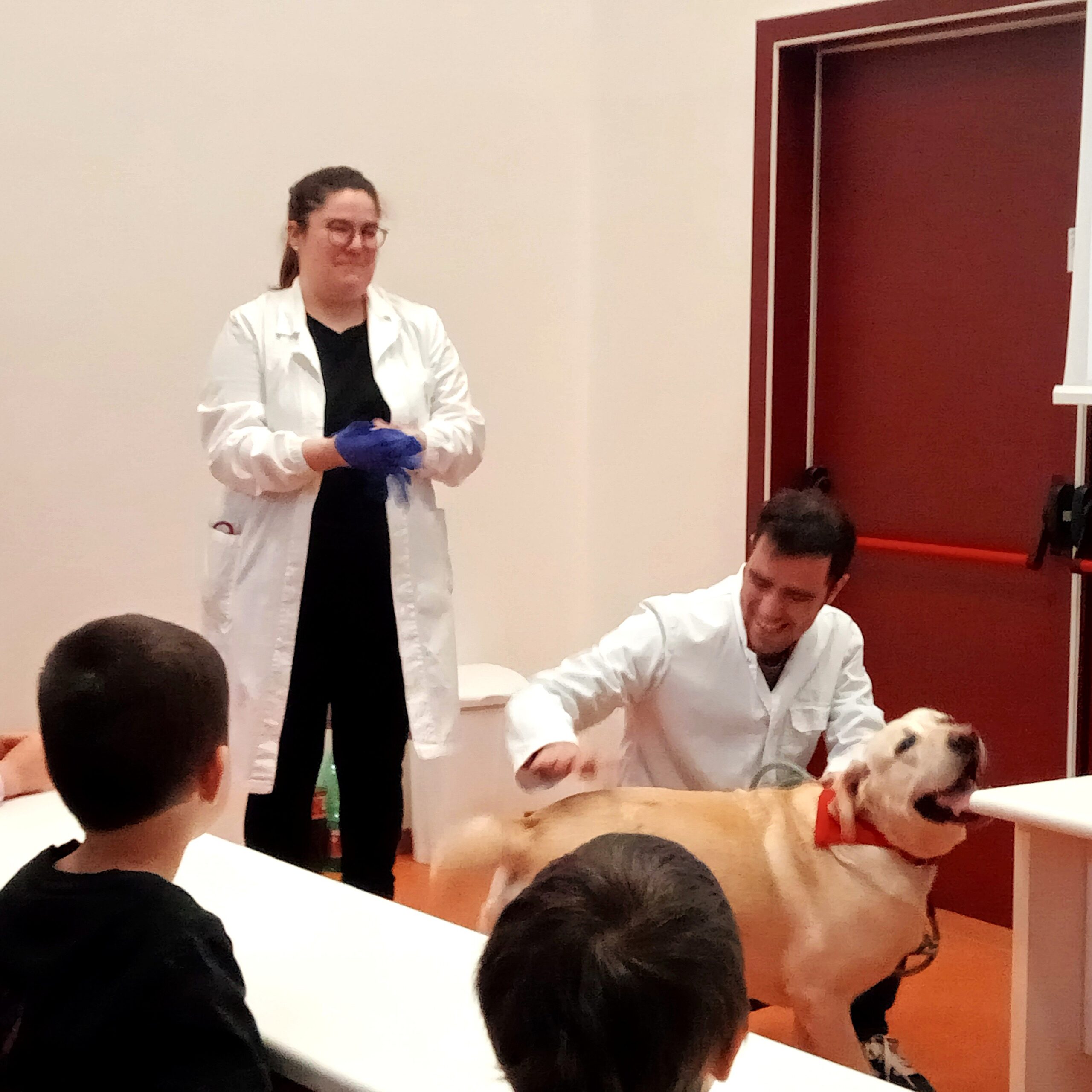 I bambini incontrano i veterinari