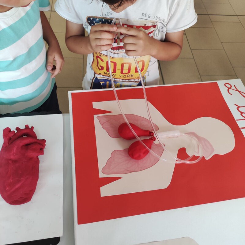 Tesine di classe 5 primaria